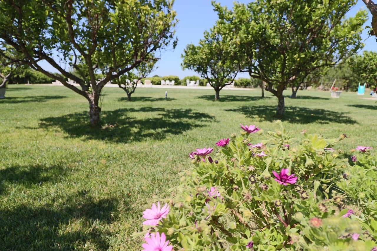 Tenuta Degli Agrumi Carmiano  外观 照片